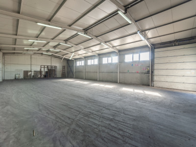 Hale & Birouri Mărăcineni - 1.294 mp - Deschidere la DN