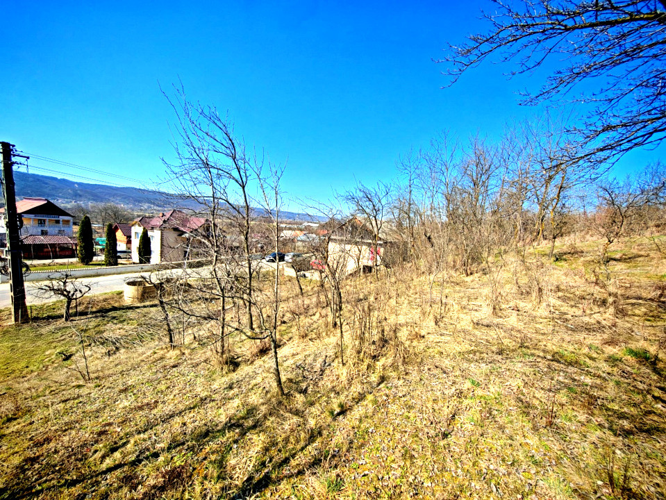 Casă cu teren generos în Dârmănești, Argeș-ideală pentru locuința sau afacere 