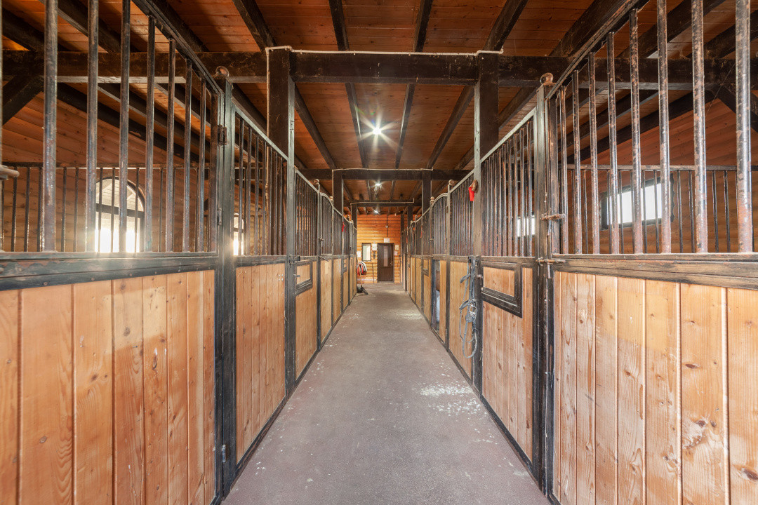 Inchiriere - Centrul de Echitatie 