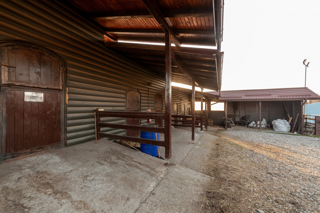 Inchiriere - Centrul de Echitatie 