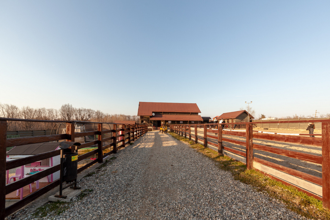 Inchiriere - Centrul de Echitatie 
