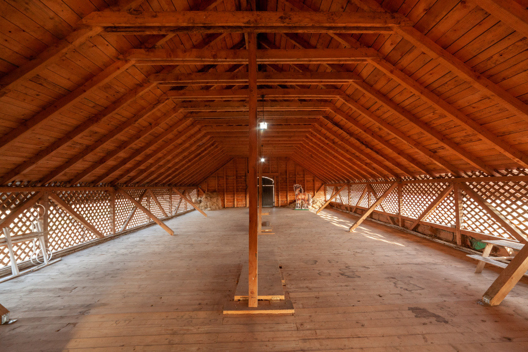 Inchiriere - Centrul de Echitatie 