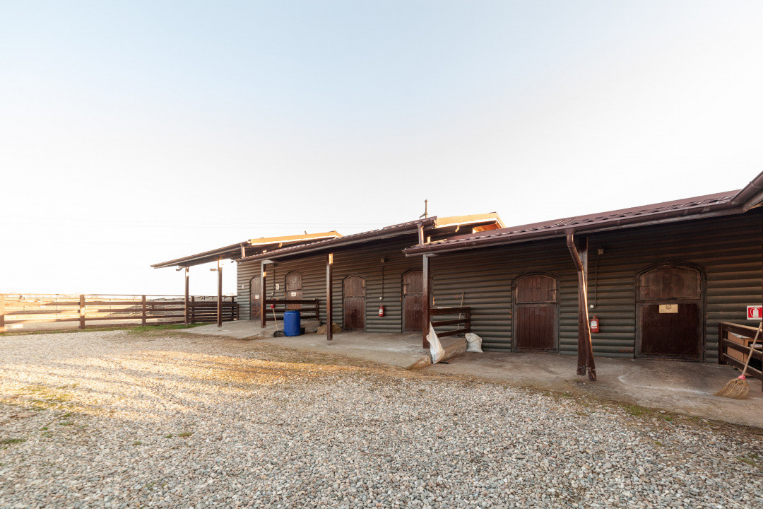 Inchiriere - Centrul de Echitatie 