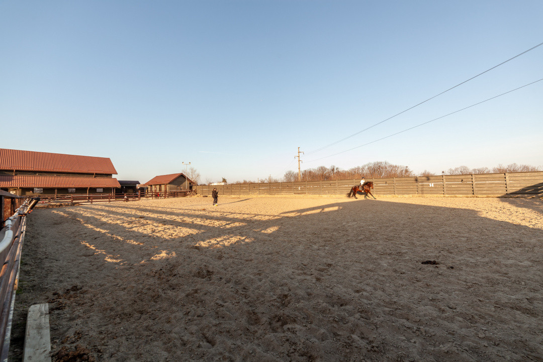 Inchiriere - Centrul de Echitatie 