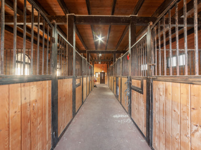 Inchiriere - Centrul de Echitatie 