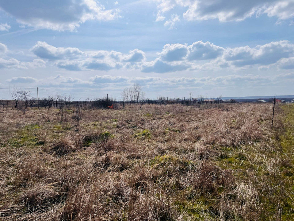 Teren intravilan, 2 parcele, 815 mp, utilitati, Preajba - zona Smart Pub