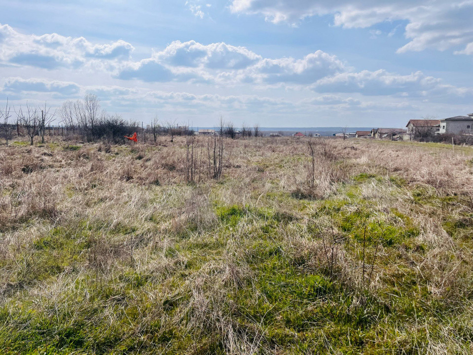 Teren intravilan, 2 parcele, 815 mp, utilitati, Preajba - zona Smart Pub