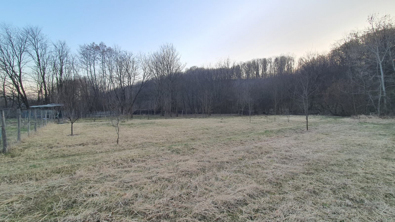 Teren intravilan pentru Casa de Vacanta -Mosoaia- Basangesti