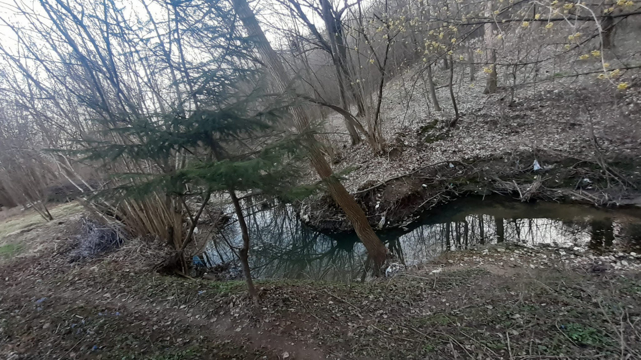 Teren intravilan pentru Casa de Vacanta -Mosoaia- Basangesti