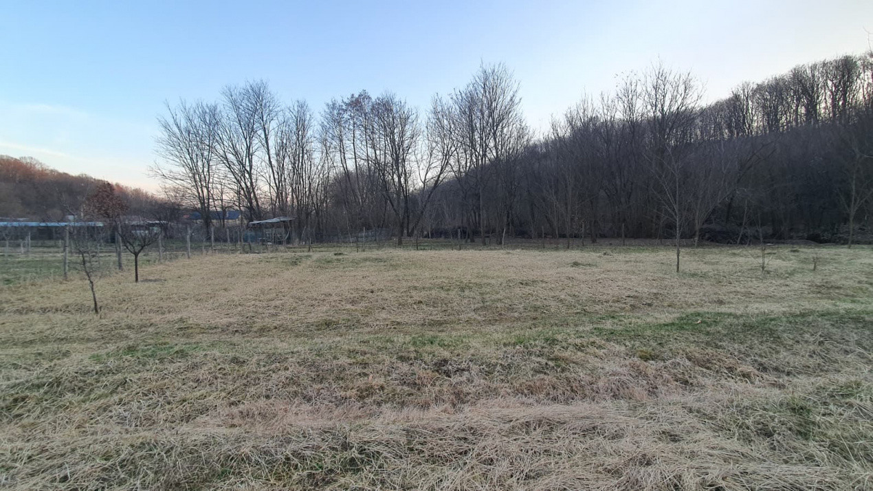 Teren intravilan pentru Casa de Vacanta -Mosoaia- Basangesti