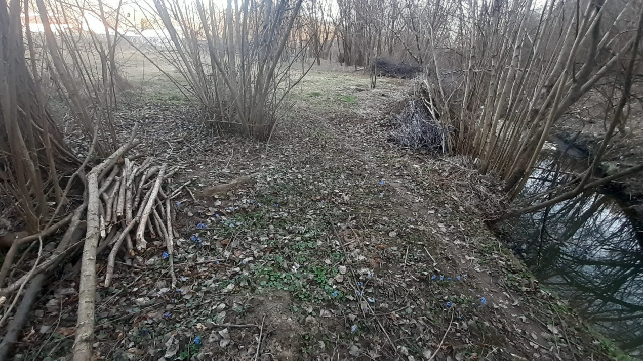 Teren intravilan pentru Casa de Vacanta -Mosoaia- Basangesti