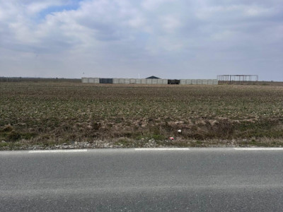 Teren intravilan 1500mp situat la DC87 Pielesti, zona Peugeot