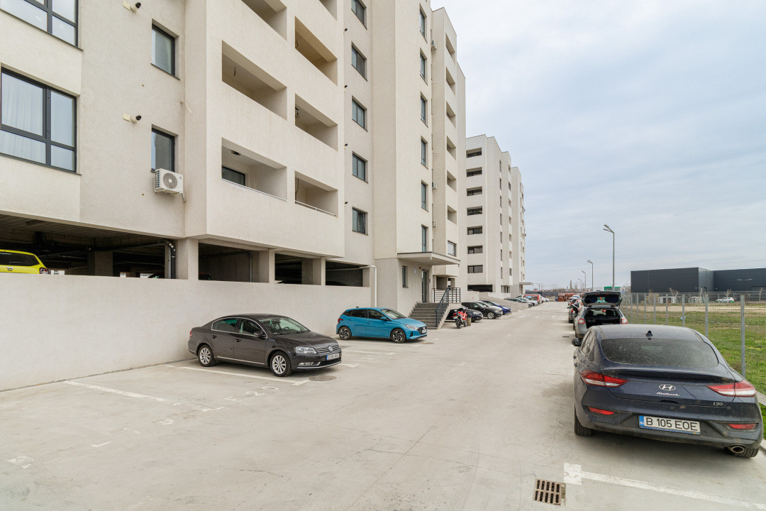 Garsoniera Berceni, Postalionului