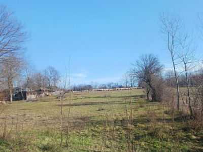 Teren intravilan 6500 euro - Gliganu de Sus - Rociu