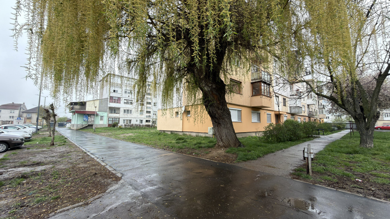 Apartament 2 camere Zona Penny Etaj II, Ignișului 28 - Carei -