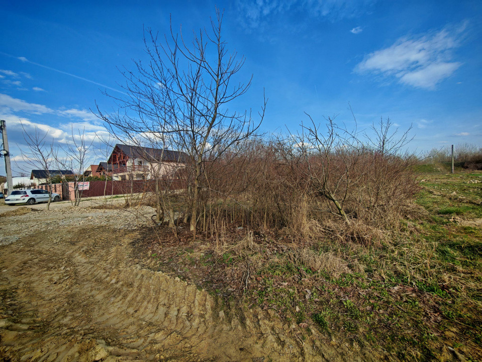 Teren intravilan 2273 mp in Pitesti, str. Mateias, iesire spre Campulung Muscel