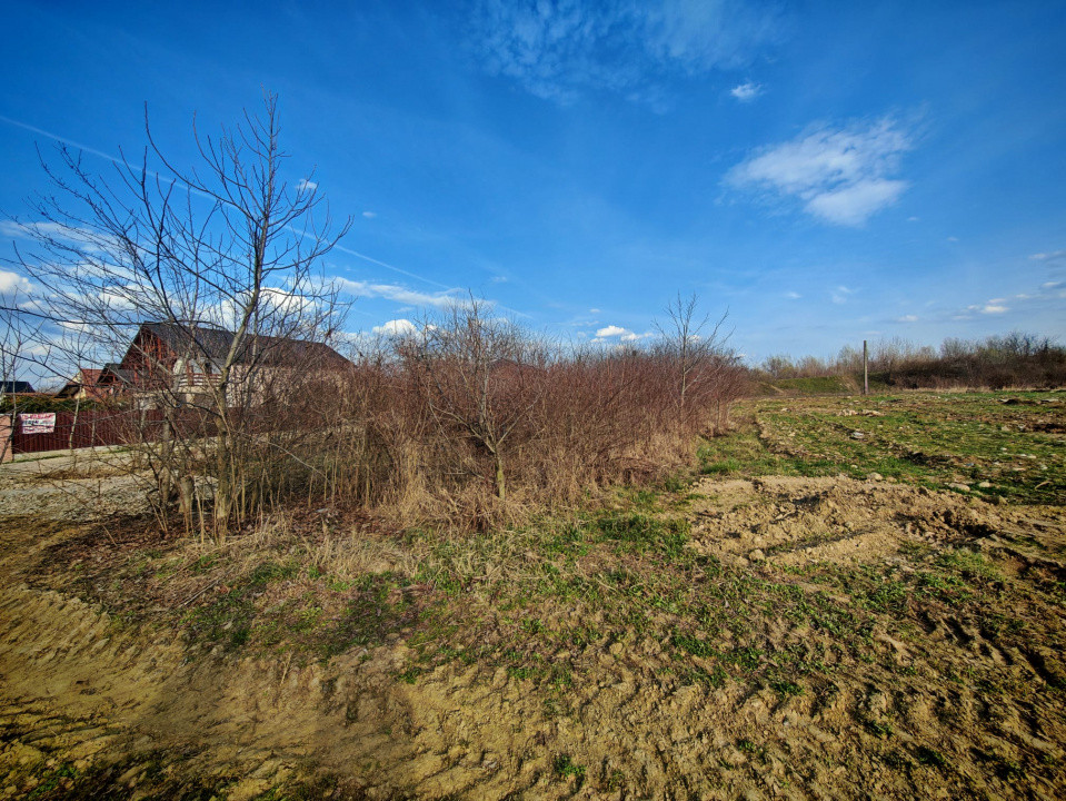 Teren intravilan 2273 mp in Pitesti, str. Mateias, iesire spre Campulung Muscel