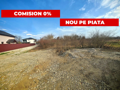 Teren intravilan 2273 mp in Pitesti pe strada Mateias