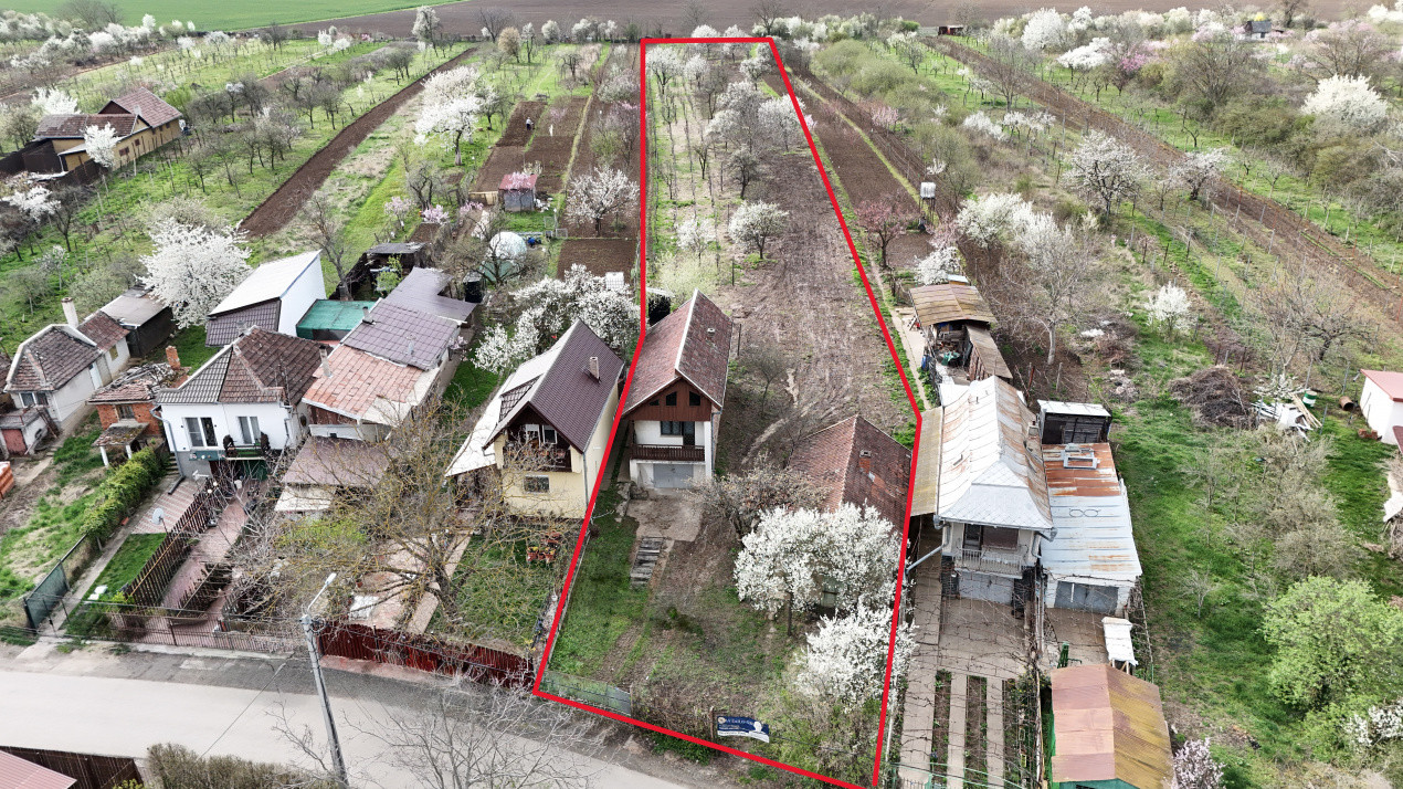 De vânzare 2 Case de vinificație cu Teren 4108 mp - Grădina Viilor - Carei