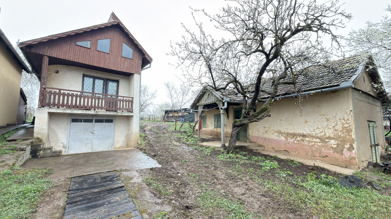 De vânzare 2 Case de vinificație cu Teren 4108 mp - Grădina Viilor - Carei