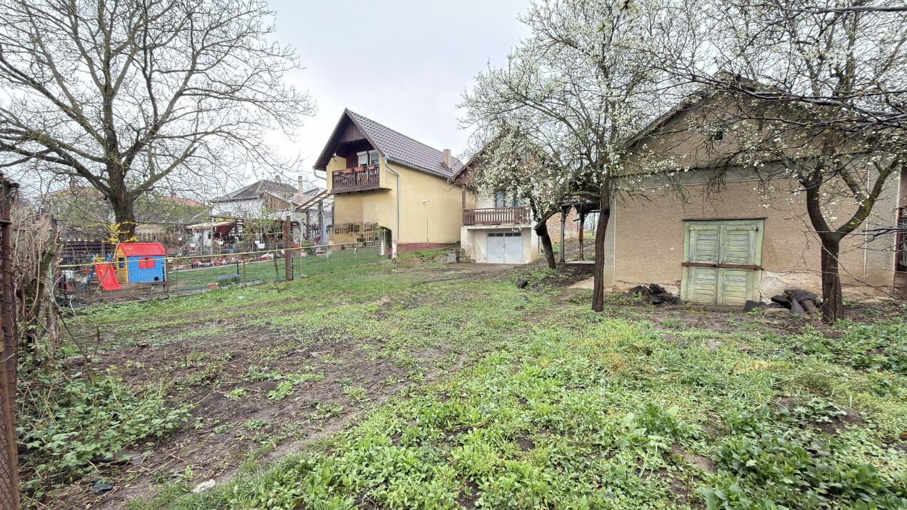 De vânzare 2 Case de vinificație cu Teren 4108 mp - Grădina Viilor - Carei