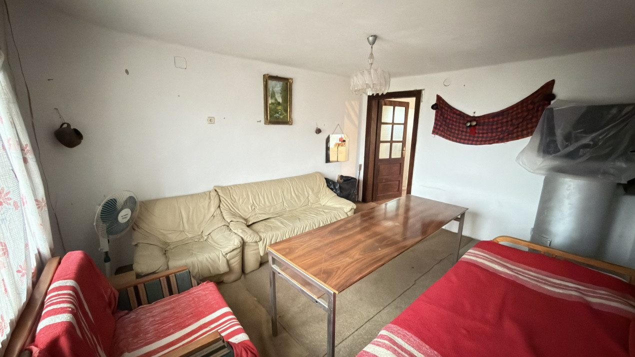 De vânzare 2 Case de vinificație cu Teren 4108 mp - Grădina Viilor - Carei