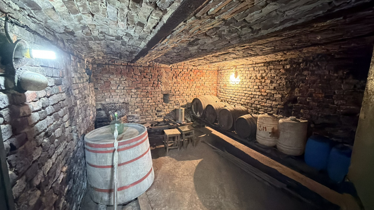 De vânzare 2 Case de vinificație cu Teren 4108 mp - Grădina Viilor - Carei