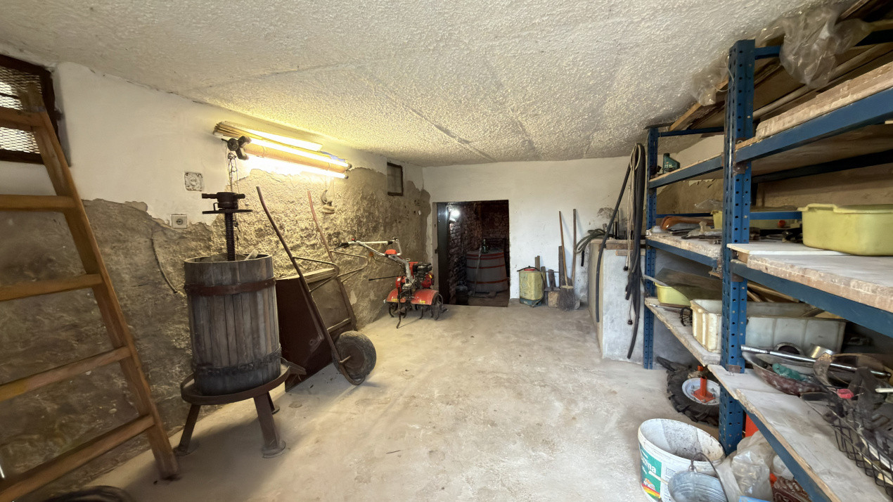 De vânzare 2 Case de vinificație cu Teren 4108 mp - Grădina Viilor - Carei