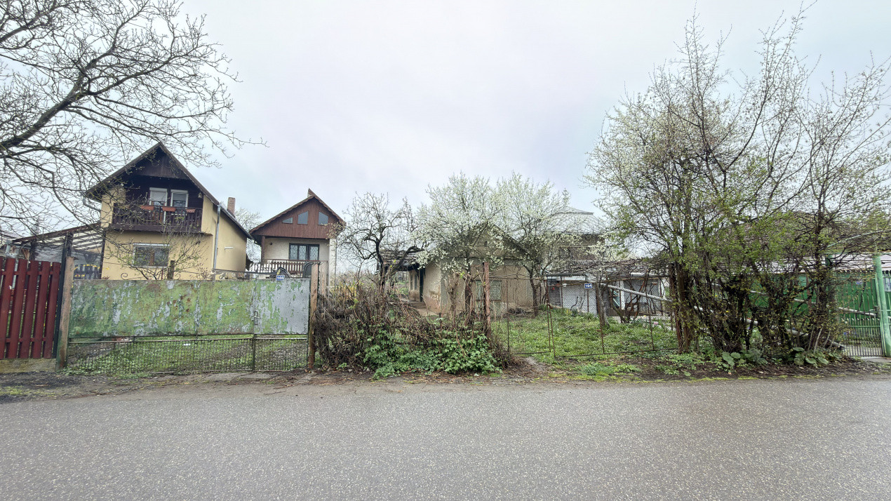 De vânzare 2 Case de vinificație cu Teren 4108 mp - Grădina Viilor - Carei