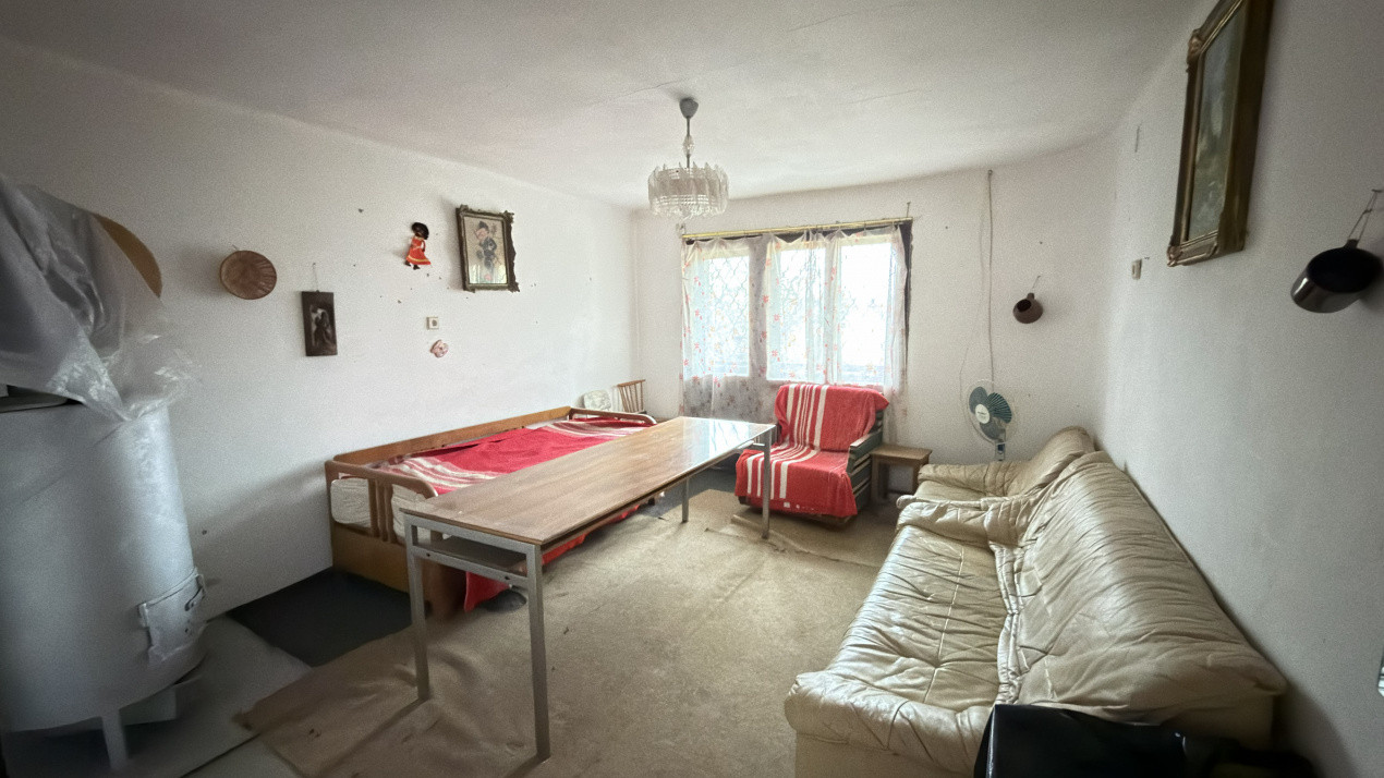 De vânzare 2 Case de vinificație cu Teren 4108 mp - Grădina Viilor - Carei