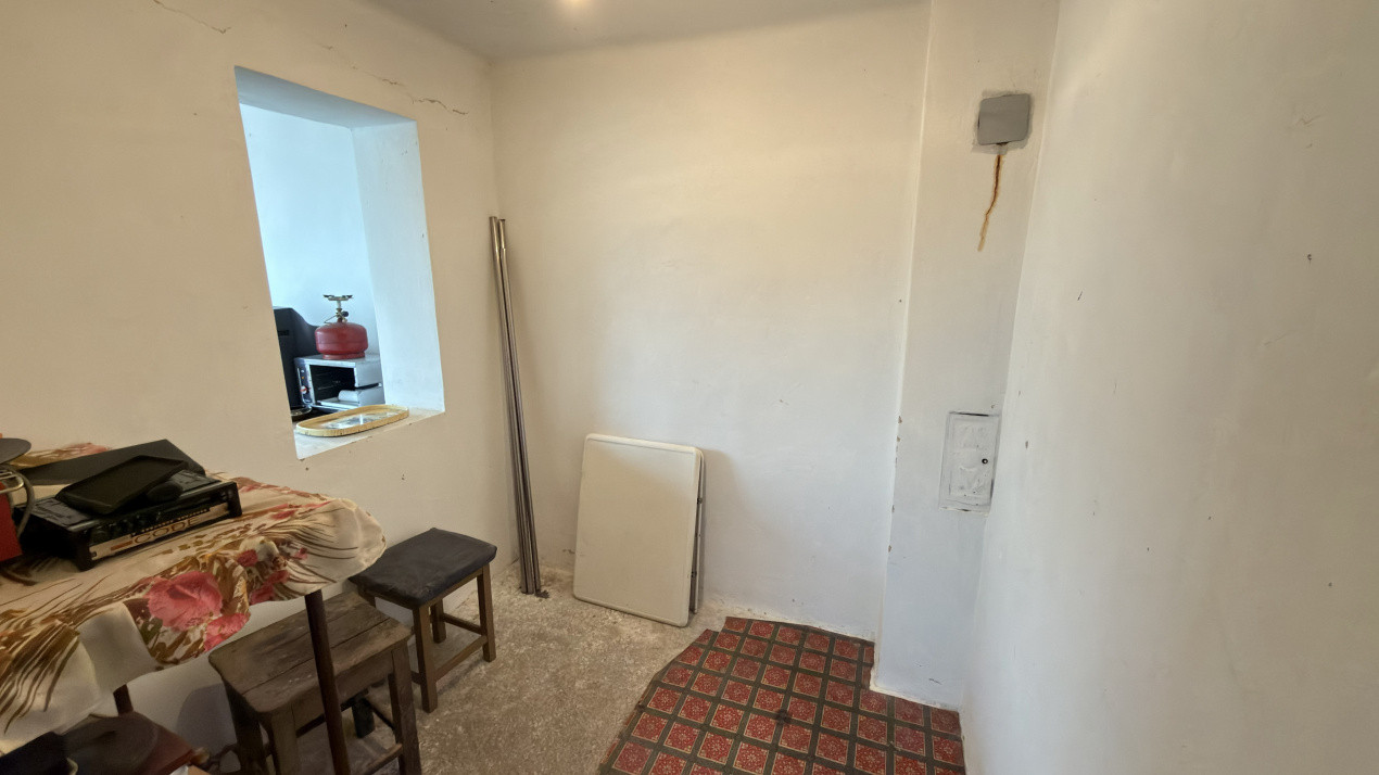 De vânzare 2 Case de vinificație cu Teren 4108 mp - Grădina Viilor - Carei