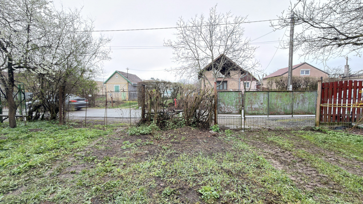 De vânzare 2 Case de vinificație cu Teren 4108 mp - Grădina Viilor - Carei