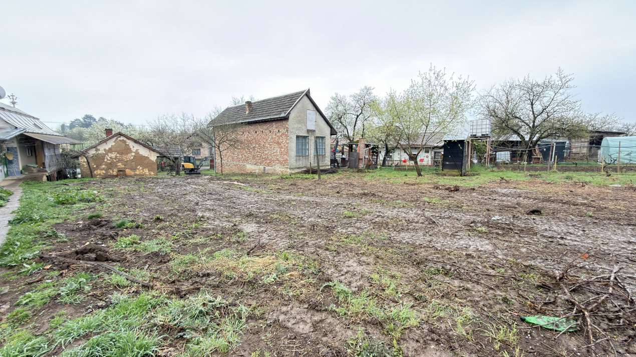 De vânzare 2 Case de vinificație cu Teren 4108 mp - Grădina Viilor - Carei