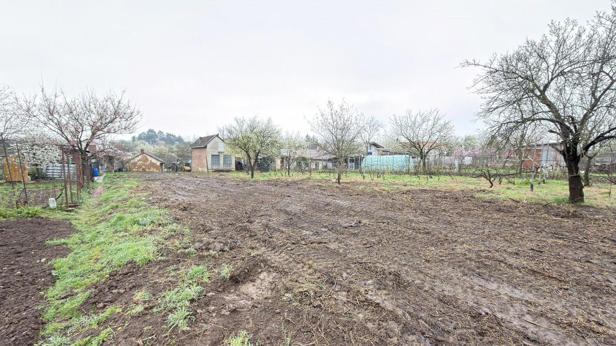 De vânzare 2 Case de vinificație cu Teren 4108 mp - Grădina Viilor - Carei