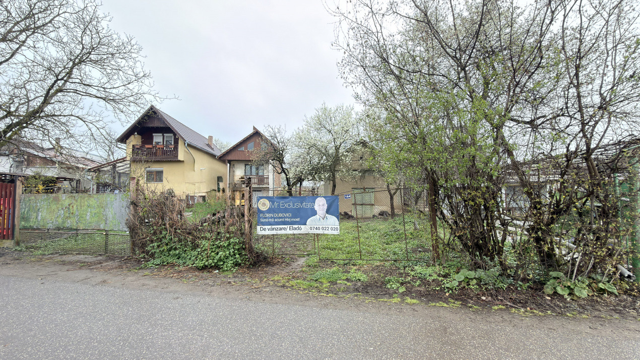 De vânzare 2 Case de vinificație cu Teren 4108 mp - Grădina Viilor - Carei