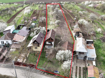 De vânzare 2 Case de vinificație cu Teren 4108 mp - Grădina Viilor - Carei