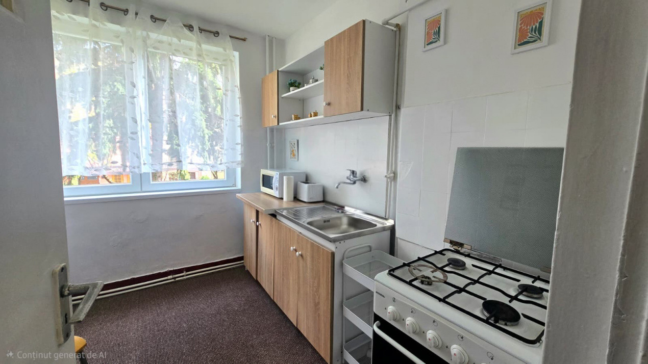 Chirie 2 Camere Satu Mare Central