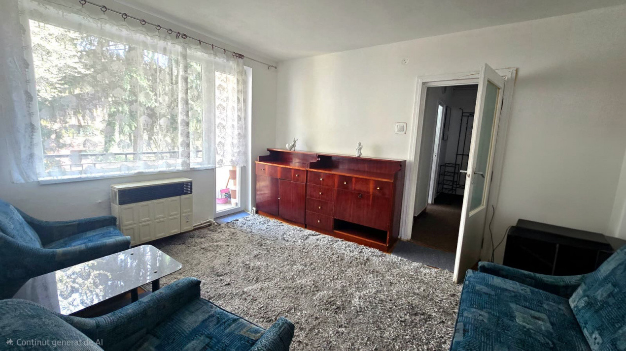 Chirie 2 Camere Satu Mare Central