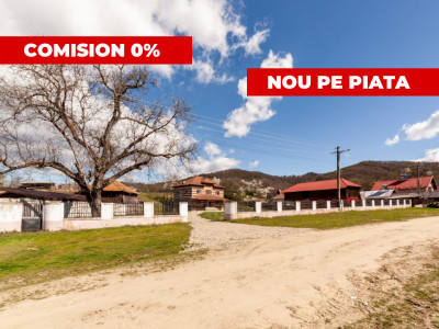 Casă spațioasă 30 min de Pitești Cosești Argeș