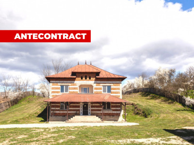 Casa P+1 langa padure cu teren 4752 mp Cosești Arges