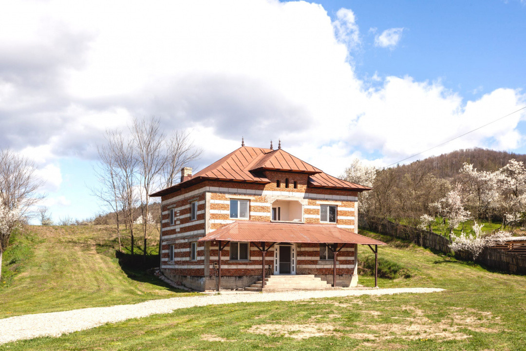 Casă P+1 langa padure cu teren 4.752 mp Cosesti Arges