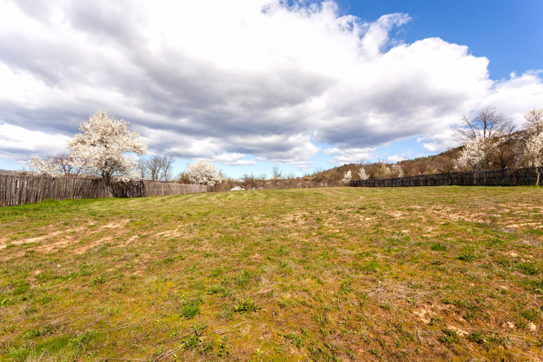 Casă P+1 langa padure cu teren 4.752 mp Cosesti Arges