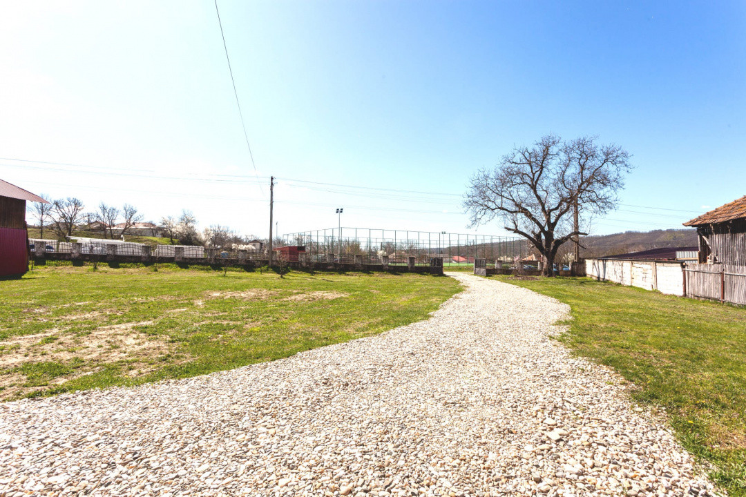 Casă P+1 langa padure cu teren 4.752 mp Cosesti Arges