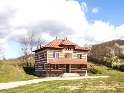Casă P+1 langa padure cu teren 4.752 mp Cosesti Arges