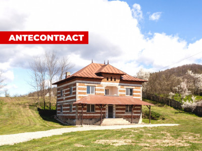 Casă P+1 langa padure cu teren 4.752 mp Cosesti Arges