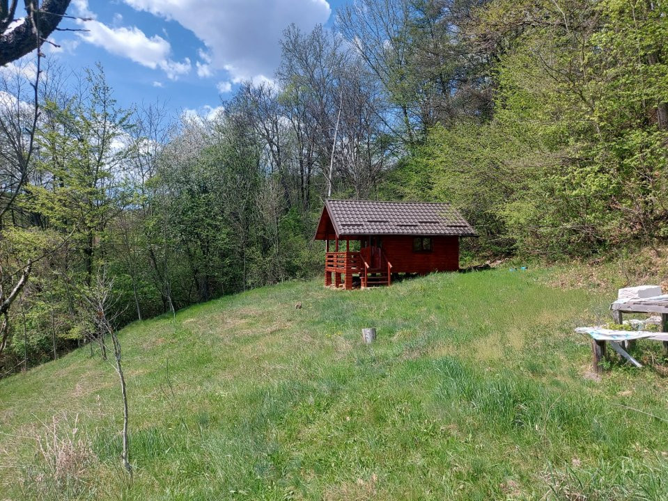 Casa imbratisata de padure + cabanuta de vara - Valea Ursului, Bascov 
