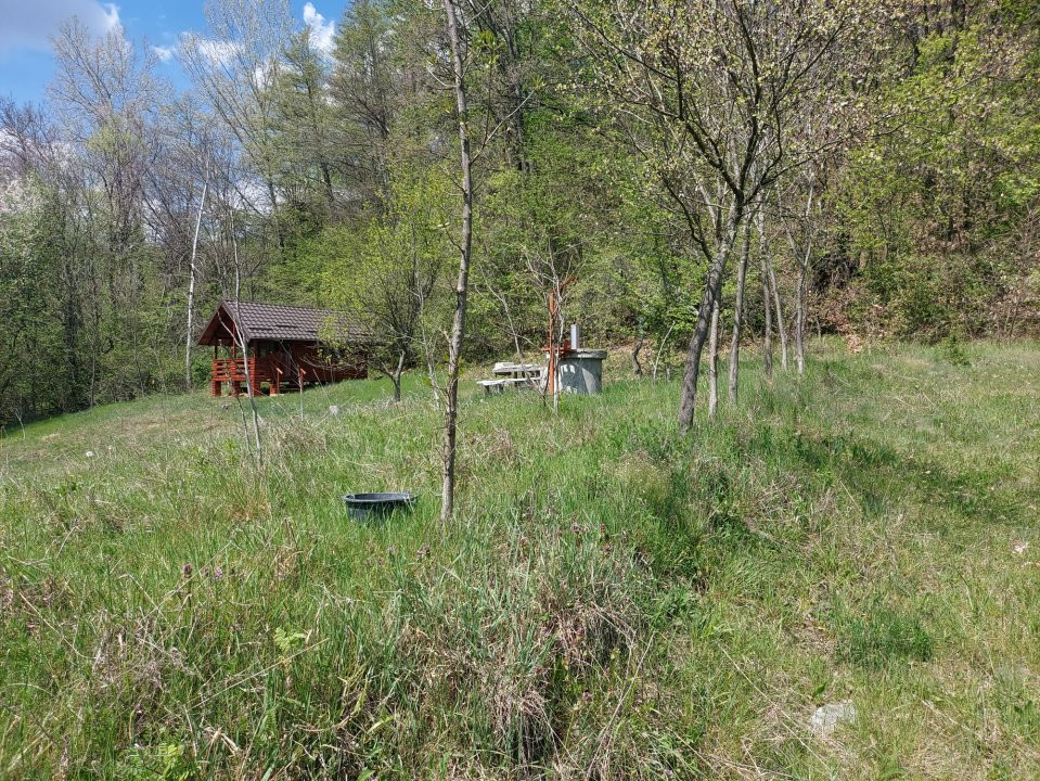Casa imbratisata de padure + cabanuta de vara - Valea Ursului, Bascov 