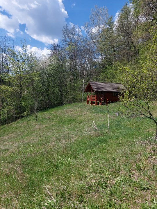 Casa imbratisata de padure + cabanuta de vara - Valea Ursului, Bascov 