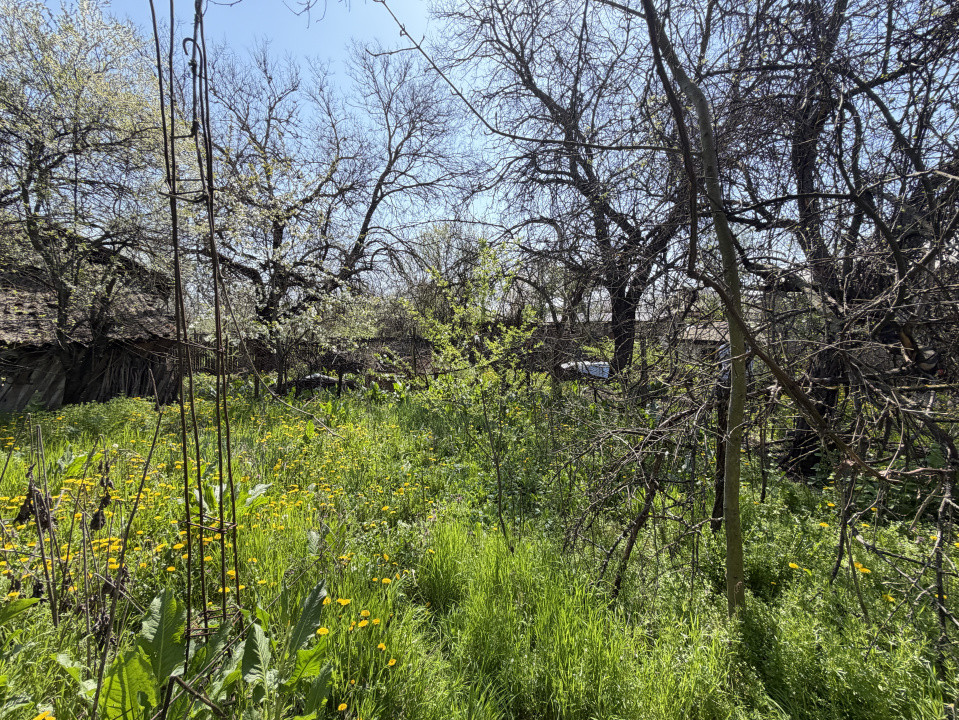 Teren 1047 mp – spațiu suficient pentru orice plan ai