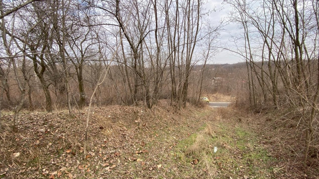 Teren cu panorama superba + padure Albota  Gura Văii  Arges